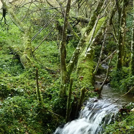 Traditional Holiday In Courcy Nearby River Σπίτι διακοπών Courcy (Manche)